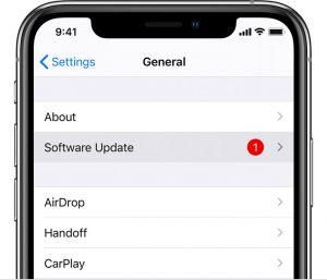 ios13 iphone xs settings general software update cropped